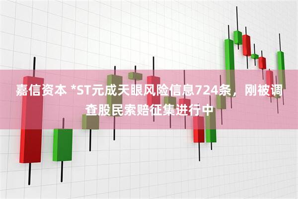 嘉信资本 *ST元成天眼风险信息724条，刚被调查股民索赔征集进行中