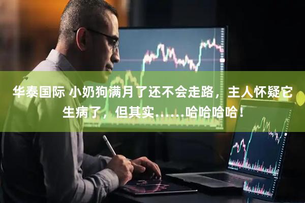 华泰国际 小奶狗满月了还不会走路，主人怀疑它生病了，但其实……哈哈哈哈！