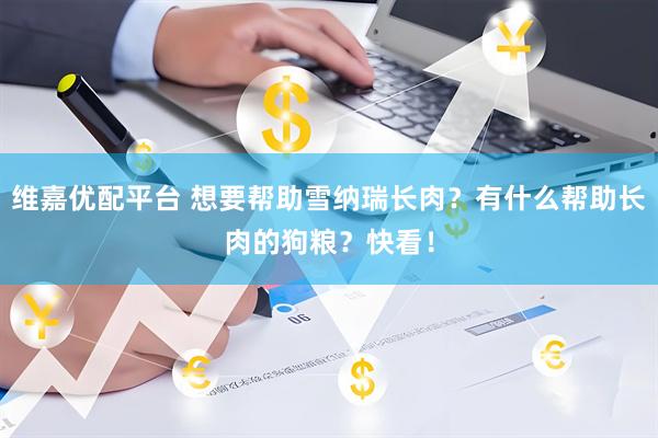维嘉优配平台 想要帮助雪纳瑞长肉？有什么帮助长肉的狗粮？快看！