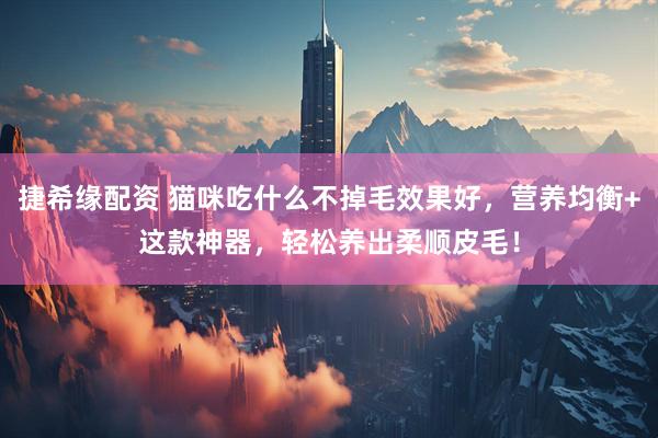 捷希缘配资 猫咪吃什么不掉毛效果好，营养均衡+这款神器，轻松养出柔顺皮毛！