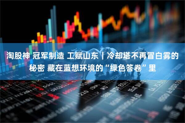 淘股神 冠军制造 工赋山东｜冷却塔不再冒白雾的秘密 藏在蓝想环境的“绿色答卷”里