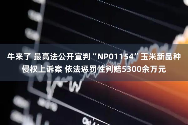 牛来了 最高法公开宣判“NP01154”玉米新品种侵权上诉案 依法惩罚性判赔5300余万元